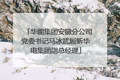 华能集团安徽分公司党委书记马冰武履新华电集团副总经理