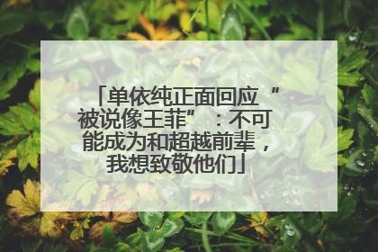 单依纯正面回应“被说像王菲”：不可能成为和超越前辈，我想致敬他们
