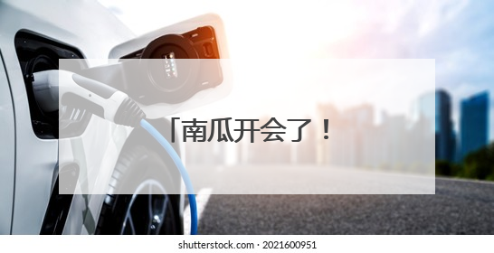 南瓜开会了！平谷有个可可爱爱的南瓜王国