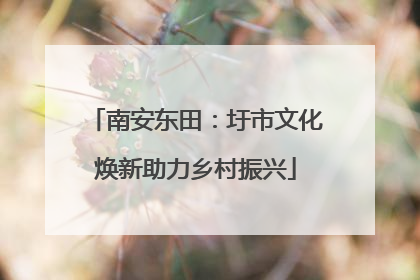 南安东田：圩市文化焕新助力乡村振兴