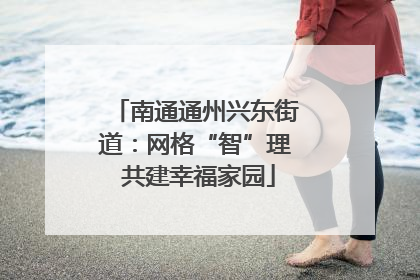 南通通州兴东街道：网格“智”理 共建幸福家园
