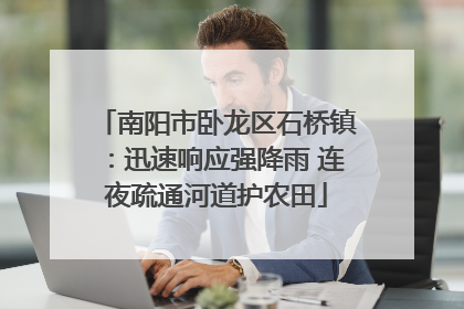 南阳市卧龙区石桥镇：迅速响应强降雨 连夜疏通河道护农田