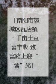 南阳市宛城区瓦店镇：千亩土豆喜丰收 致富路上迎“薯”光