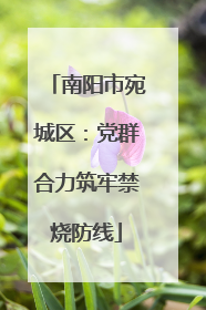 南阳市宛城区：党群合力筑牢禁烧防线