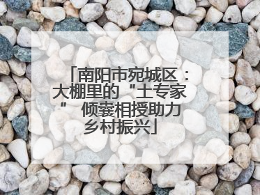 南阳市宛城区：大棚里的“土专家” 倾囊相授助力乡村振兴