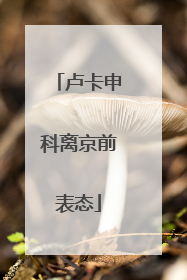 卢卡申科离京前表态