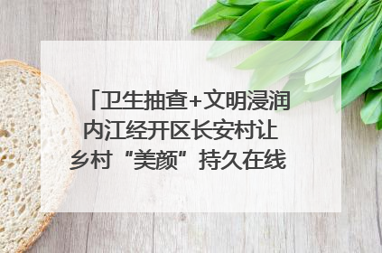 卫生抽查+文明浸润 内江经开区长安村让乡村“美颜”持久在线｜万千气象看四川