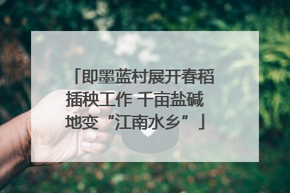 即墨蓝村展开春稻插秧工作 千亩盐碱地变“江南水乡”