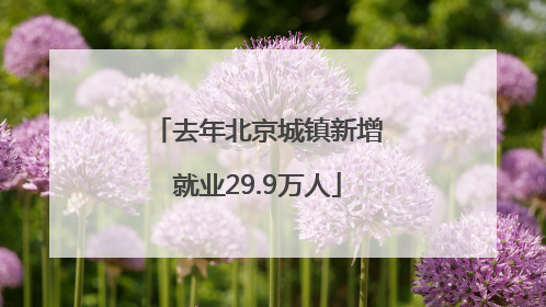 去年北京城镇新增就业29.9万人