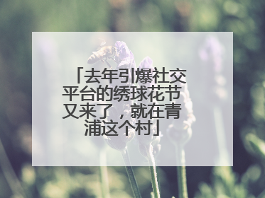 去年引爆社交平台的绣球花节又来了，就在青浦这个村