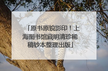 原书原貌影印！上海图书馆藏明清珍稀稿钞本整理出版