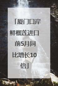 厦门口岸鲜榴莲进口 前5月同比增长10倍