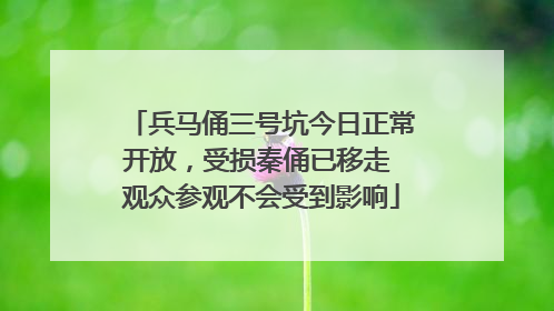 兵马俑三号坑今日正常开放，受损秦俑已移走 观众参观不会受到影响