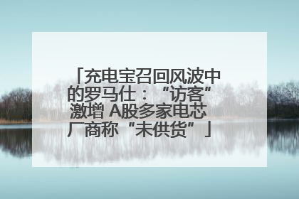 充电宝召回风波中的罗马仕：“访客”激增 A股多家电芯厂商称“未供货”