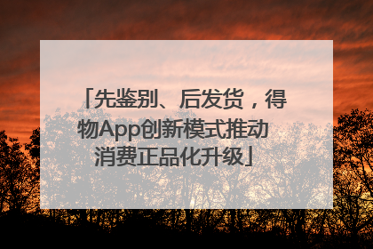 先鉴别、后发货，得物App创新模式推动消费正品化升级