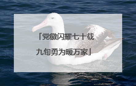 党徽闪耀七十载 九旬勇为暖万家
