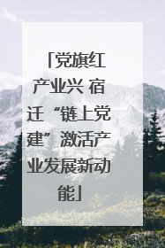 党旗红 产业兴 宿迁“链上党建”激活产业发展新动能