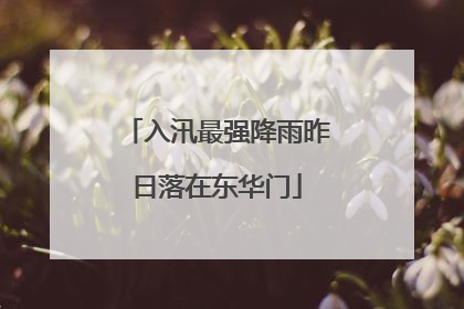 入汛最强降雨昨日落在东华门
