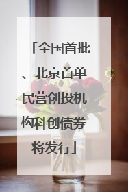 全国首批、北京首单民营创投机构科创债券将发行