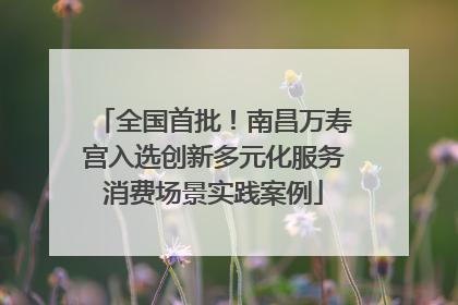 全国首批！南昌万寿宫入选创新多元化服务消费场景实践案例