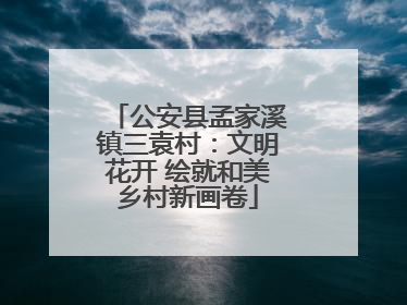 公安县孟家溪镇三袁村：文明花开 绘就和美乡村新画卷