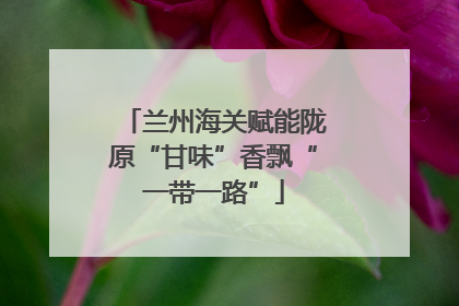 兰州海关赋能陇原“甘味”香飘“一带一路”
