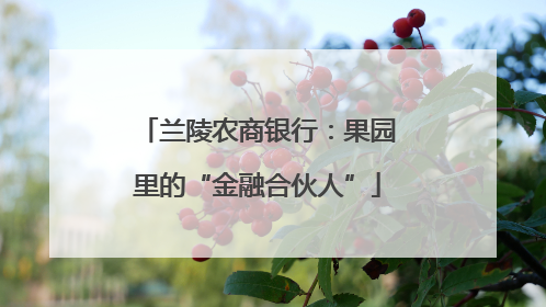兰陵农商银行：果园里的“金融合伙人”