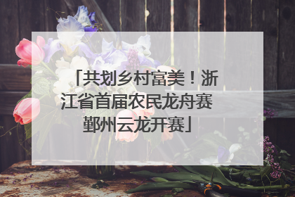共划乡村富美！浙江省首届农民龙舟赛鄞州云龙开赛