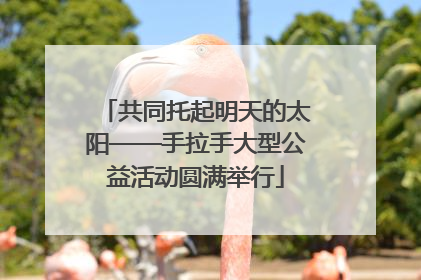 共同托起明天的太阳——手拉手大型公益活动圆满举行