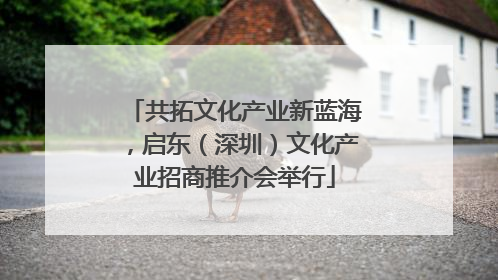共拓文化产业新蓝海，启东（深圳）文化产业招商推介会举行