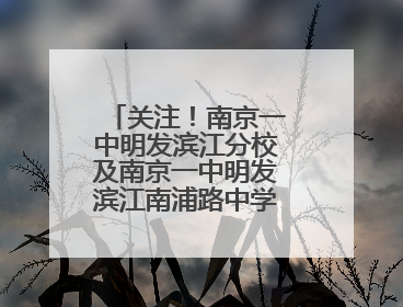 关注！南京一中明发滨江分校及南京一中明发滨江南浦路中学公开招聘