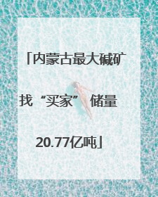 内蒙古最大碱矿找“买家” 储量20.77亿吨
