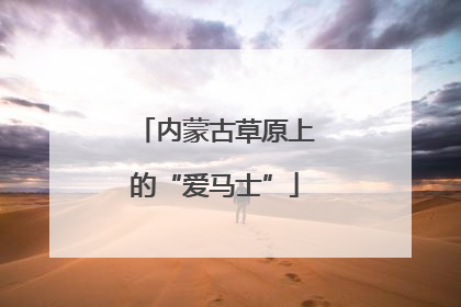 内蒙古草原上的“爱马士”