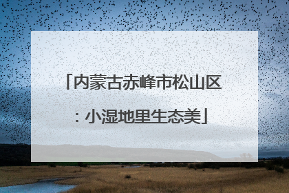 内蒙古赤峰市松山区：小湿地里生态美