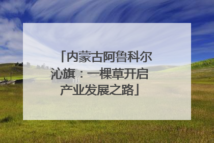 内蒙古阿鲁科尔沁旗：一棵草开启产业发展之路