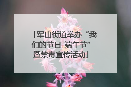 军山街道举办“我们的节日-端午节”暨禁毒宣传活动