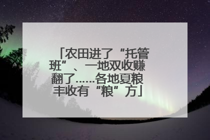 农田进了“托管班”、一地双收赚翻了……各地夏粮丰收有“粮”方