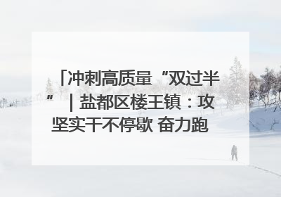 冲刺高质量“双过半”｜盐都区楼王镇：攻坚实干不停歇 奋力跑赢“上半场”