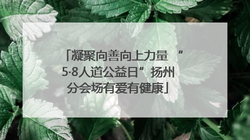 凝聚向善向上力量 “5·8人道公益日”扬州分会场有爱有健康