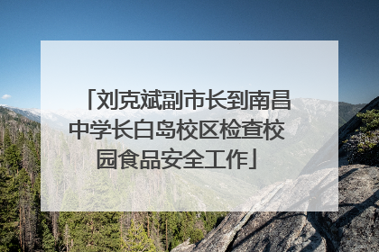 刘克斌副市长到南昌中学长白岛校区检查校园食品安全工作