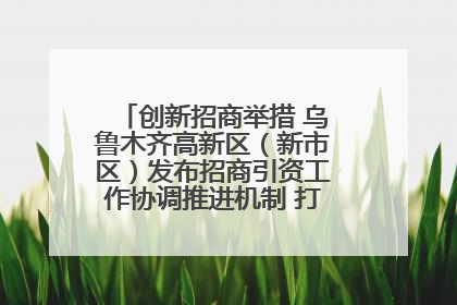 创新招商举措 乌鲁木齐高新区（新市区）发布招商引资工作协调推进机制 打造投资发展新高地