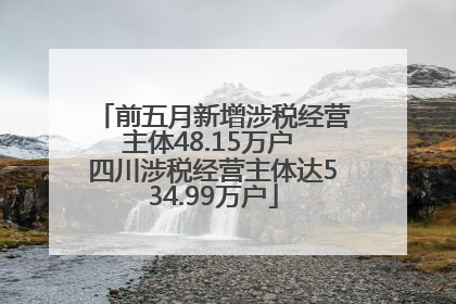 前五月新增涉税经营主体48.15万户 四川涉税经营主体达534.99万户