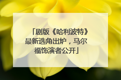 剧版《哈利波特》最新选角出炉，马尔福饰演者公开