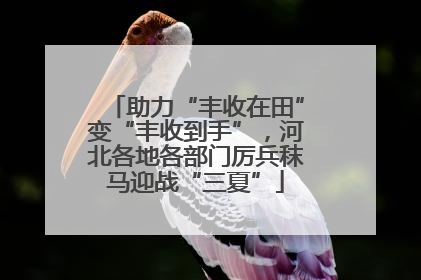 助力“丰收在田”变“丰收到手”，河北各地各部门厉兵秣马迎战“三夏”
