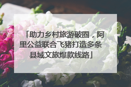 助力乡村旅游破圈，阿里公益联合飞猪打造多条县域文旅爆款线路