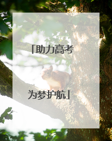助力高考 为梦护航