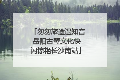 匆匆旅途遇知音 岳阳古琴文化快闪惊艳长沙南站