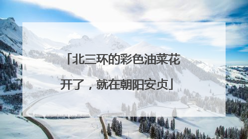 北三环的彩色油菜花开了，就在朝阳安贞