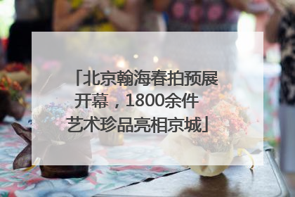 北京翰海春拍预展开幕，1800余件艺术珍品亮相京城