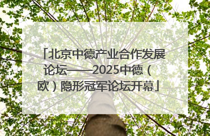 北京中德产业合作发展论坛——2025中德（欧）隐形冠军论坛开幕